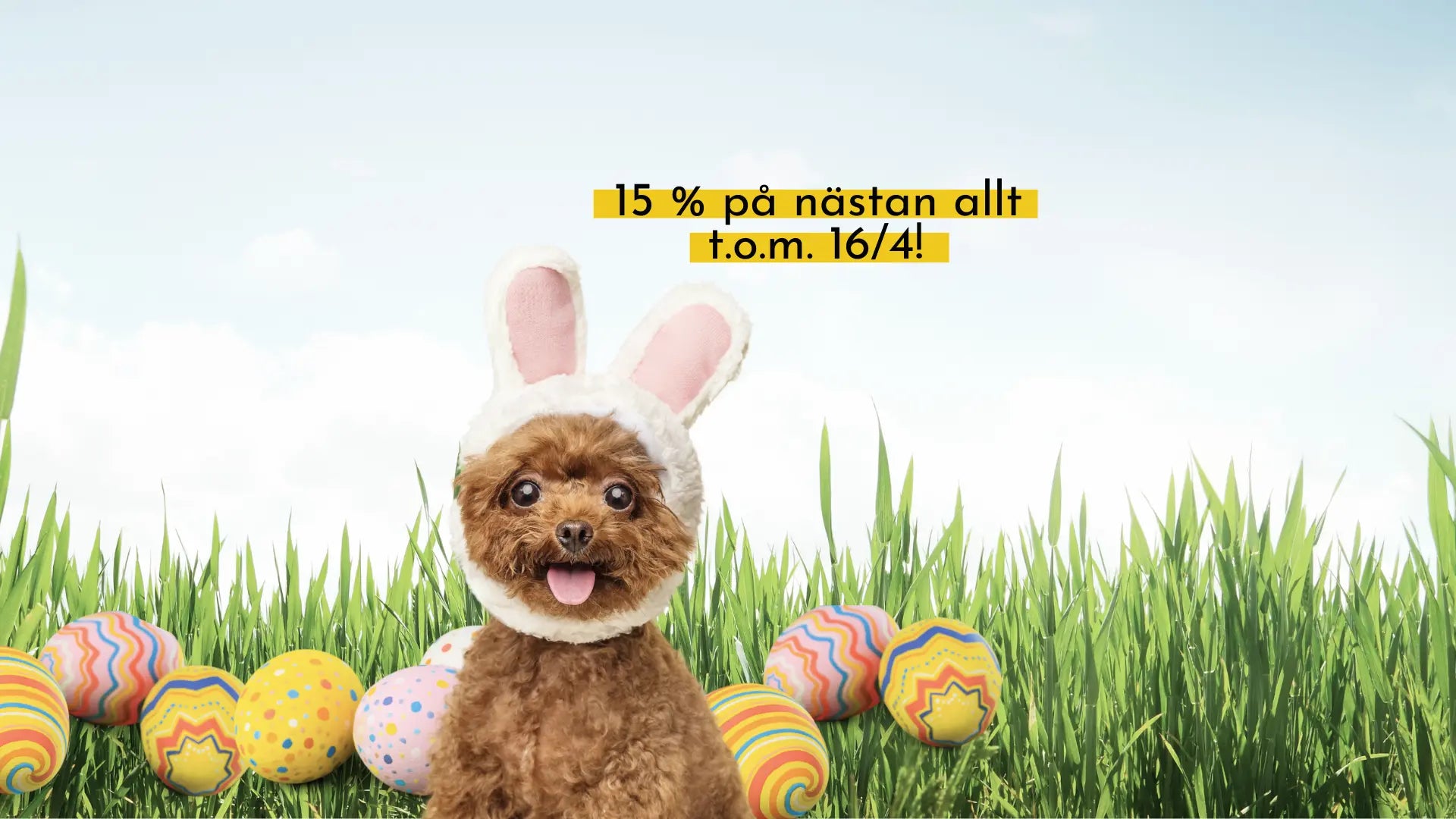 Påskkampanj – 15% på nästan allt
