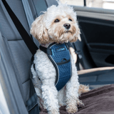 CarSafe Crash Tested Dog Harness Bilsele