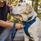 Ruffwear Front Range Leash Koppel - Blue Moon