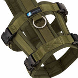 Anny-X Safety Hundsele - Olive/Olive