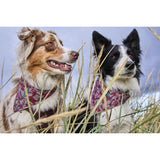 Hurtta ECO Zhero Safety Bandana - Ruby