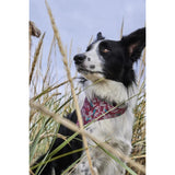 Hurtta ECO Zhero Safety Bandana - Ruby