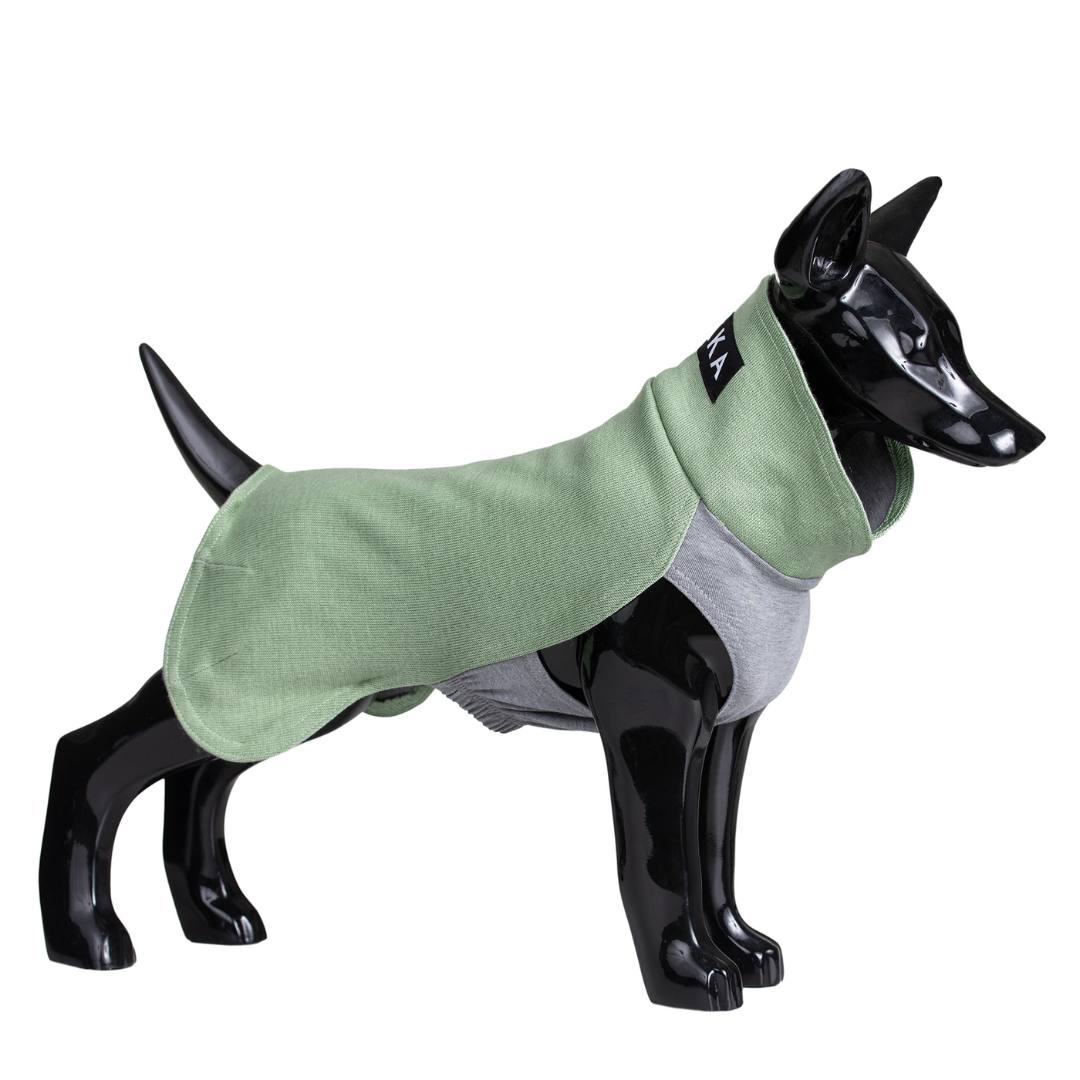 Recovery Shirt Green for Dogs – PAIKKA