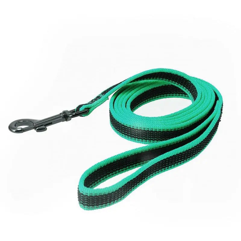 Non slip hotsell dog leash