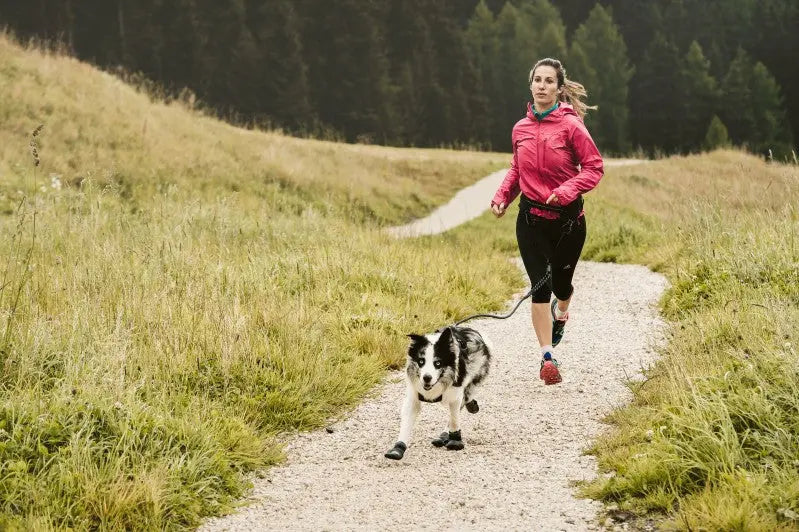 NYTT-ÅR-NYA-MÅL Dogmania