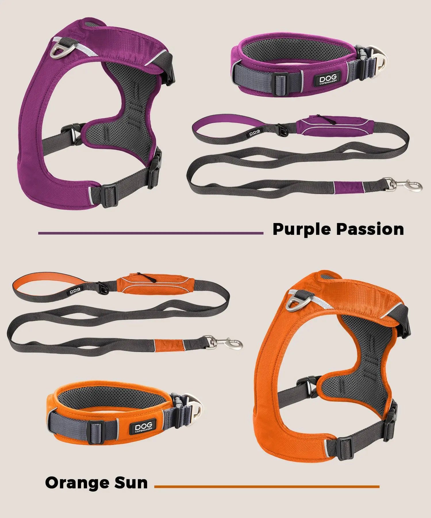 PURPLE-PASSION-ORANGE-SUN Dogmania