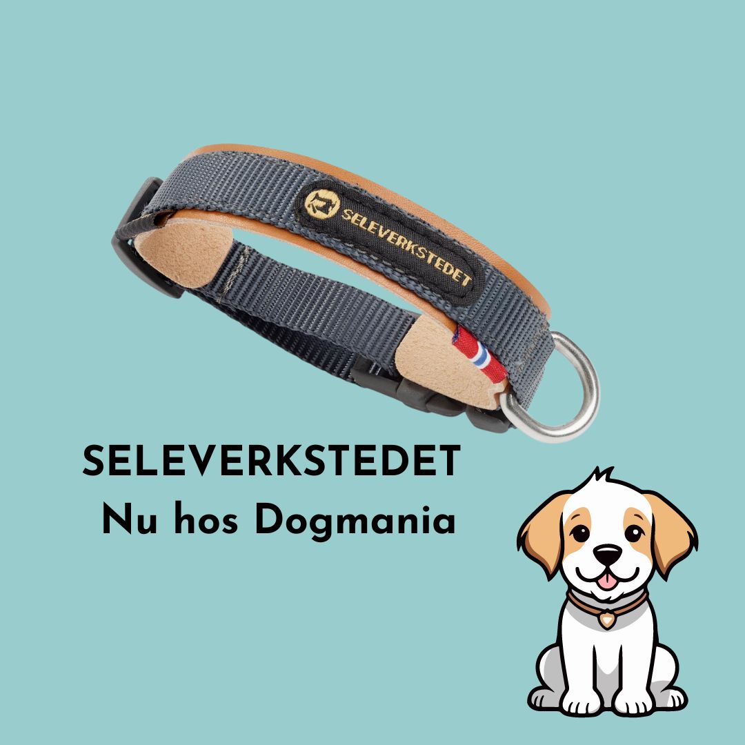 Nyheter - Seleverkstedet