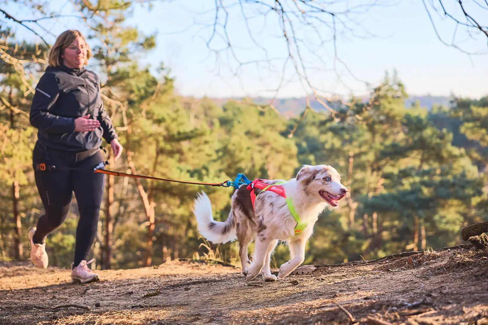 Nyheter-från-Non-stop-Dogwear-Freemotion-Dragsele Dogmania
