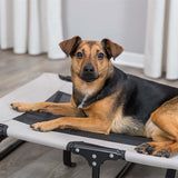 Trixie Klappbares Hunde-Campingbett – Grau/Schwarz