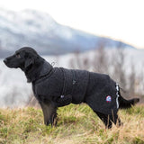 Canelana Ambassador Wolldecke Hund – Grau
