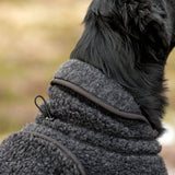Canelana Ambassador Wool Coat Dog - Gray