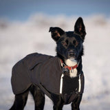 Canelana Touring Softshelltäcke med ullfoder för Terrier - Svart