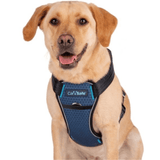 CarSafe Crash Tested Dog Harness Car Harness