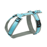 Anny-X Fun Dog harness - Grey/Iceblue