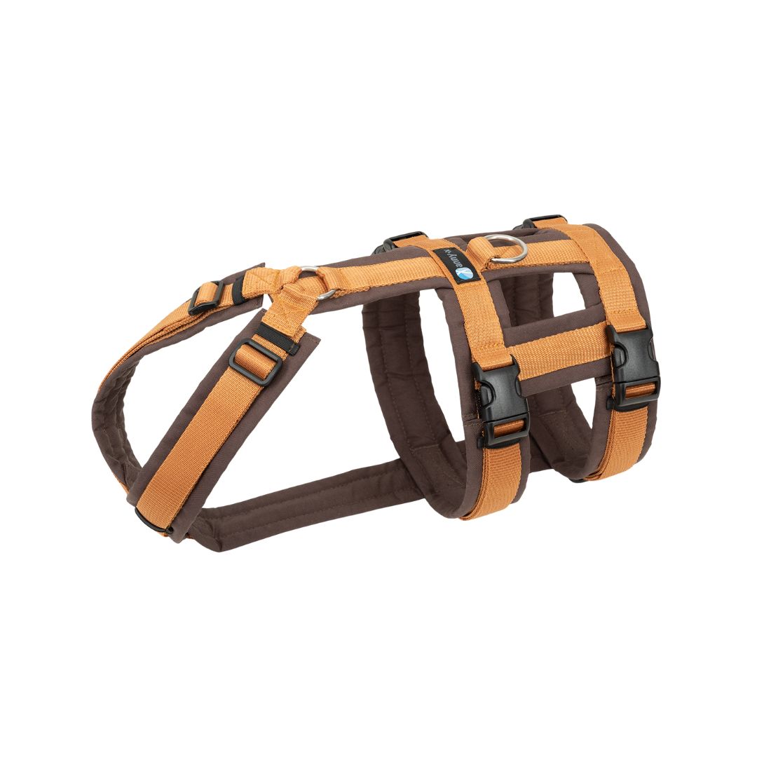 Anny-X Safety Harness - Brown/Amber