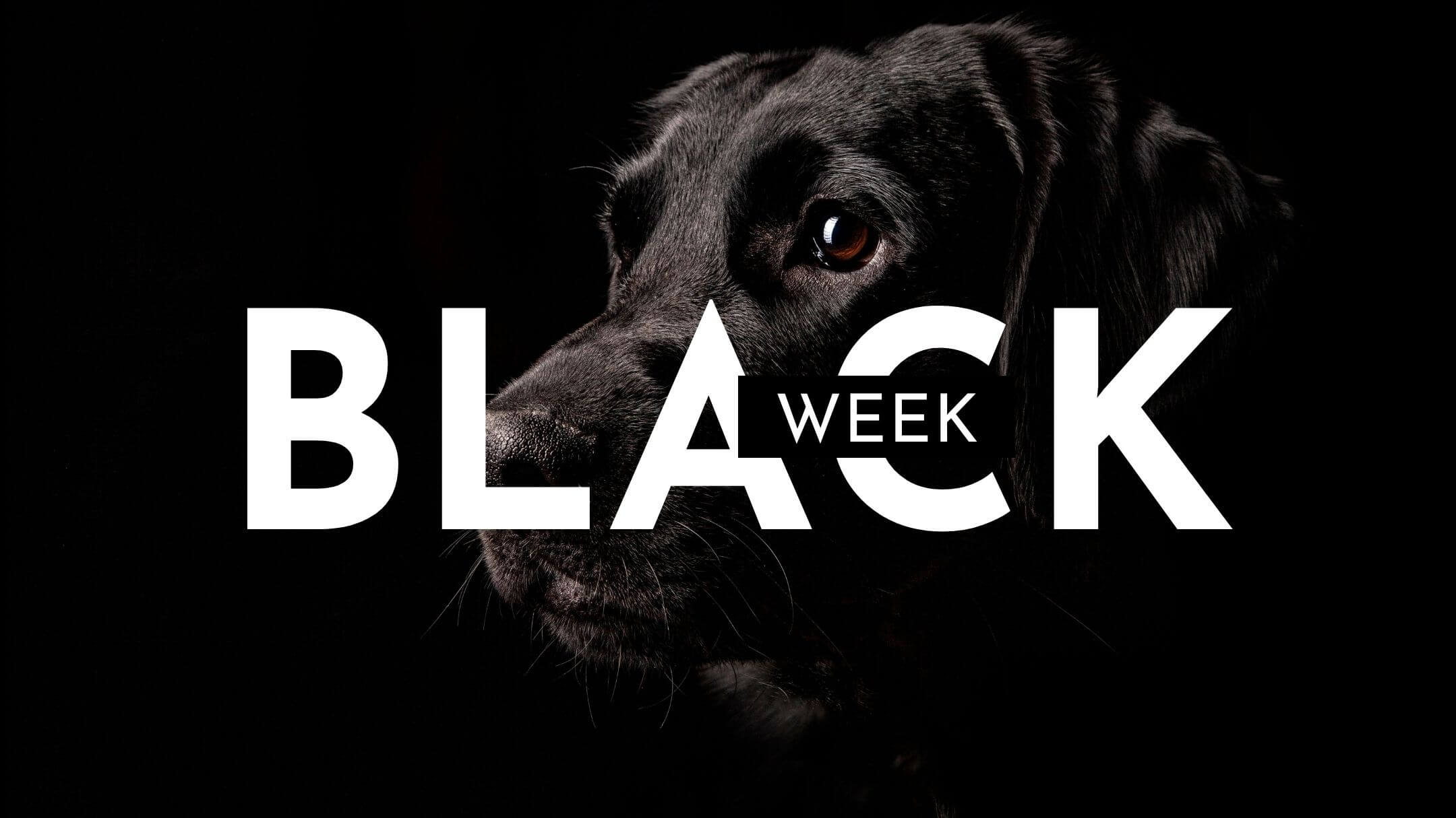 Black Week på Dogmania, fynda hundutrustning på årets största rea!