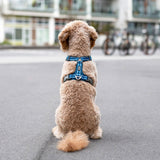 Dog Copenhagen Comfort Walk Air Sele 3.0 - Ocean Blue