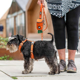Dog Copenhagen Comfort Walk Air Harness 3.0 - Orange Sun