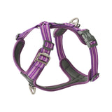 Dog Copenhagen Comfort Walk Air Geschirr 3.0 – Purple Passion