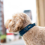 Dog Copenhagen Urban Explorer Halsband 3.0 – Ozeanblau