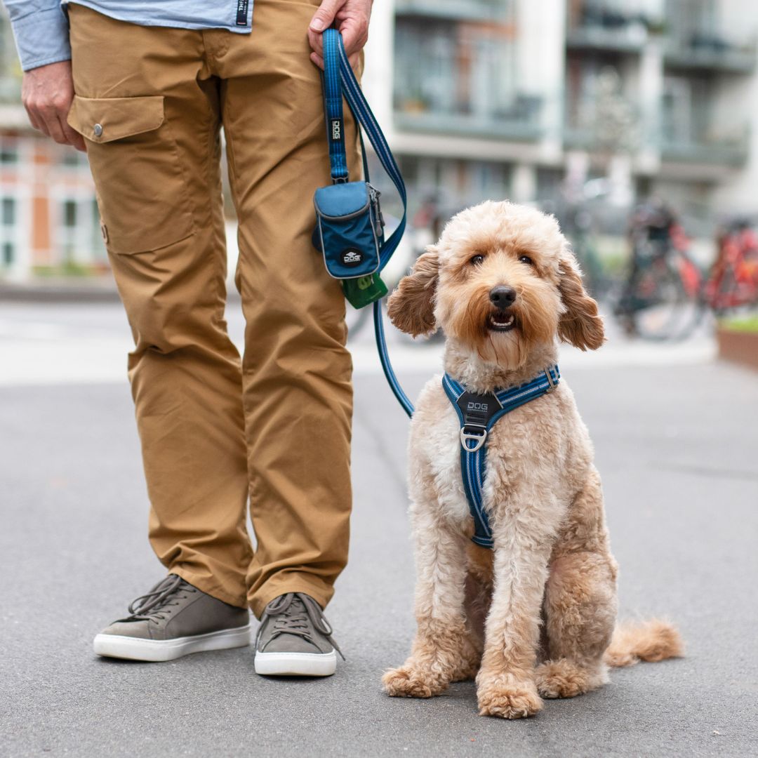 Dog Copenhagen Urban Freestyle Leash 3.0 - Ocean Blue Dog Copenhagen