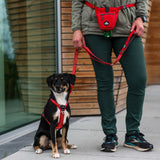 Dog Copenhagen Urban Freestyle Leash 3.0 – Klassisches Rot