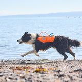 Non-Stop Protector Schwimmweste Schwimmweste für Hunde – Schwarz/Orange