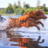 Non-Stop Protector life jacket Life jacket for dogs - Black/Orange 