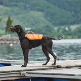 Non-Stop Protector life jacket Life jacket for dogs - Black/Orange 