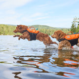 Non-Stop Protector Schwimmweste Schwimmweste für Hunde – Schwarz/Orange