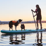 Non-Stop Protector Schwimmweste Schwimmweste für Hunde – Schwarz/Orange