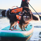 Non-Stop Protector life jacket Flytväst för hund - Black/Orange