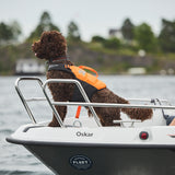 Non-Stop Protector Schwimmweste Schwimmweste für Hunde – Schwarz/Orange