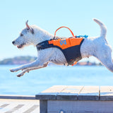 Non-Stop Protector Schwimmweste Schwimmweste für Hunde – Schwarz/Orange