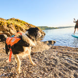 Non-Stop Protector Schwimmweste Schwimmweste für Hunde – Schwarz/Orange