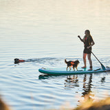 Non-Stop Protector Schwimmweste Schwimmweste für Hunde – Schwarz/Orange