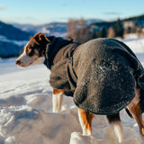 Non-Stop Wool Dog Jacket Wool blanket - Dark Teal