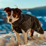 Non-Stop Wool Dog Jacket Wolldecke – Dunkelblaugrün