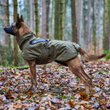 Non-stop Working Dog Glacier dog jacket - Olive