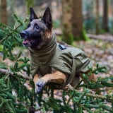 Non-stop Working Dog Glacier dog jacket - Olive