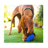 Busig hund äter i sin Tug-E-Nuff The Clam Godisgömma i färgen blå-orange