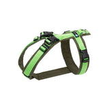 Anny-X Open Fun Dog Harness - Olive/Light Green