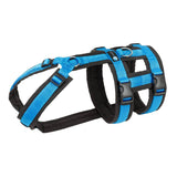 Anny-X Safety Dog Harness - Black/Blue