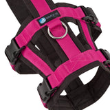 Anny-X Safety Hundsele - Svart/Rosa