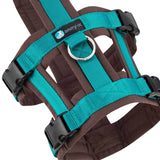 Anny-X Safety Dog Harness - Brown/Petrol