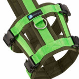 Anny-X Safety Dog Harness - Olive/Light Green