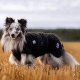 Canelana Ambassador Wool Coat Dog - Gray