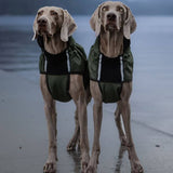 Canelana Touring Softshelltäcke med ullfoder för Terrier - Grön