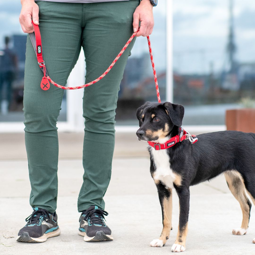 Dog Copenhagen Flexy Poop Bag Holder - Classic Red Dog Copenhagen