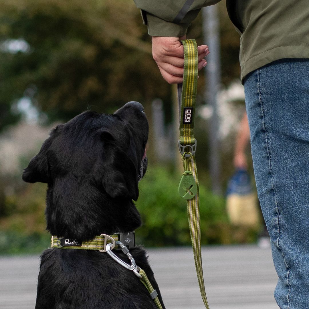 Dog Copenhagen Flexy Poop Bag Holder - Hunting Green Dog Copenhagen